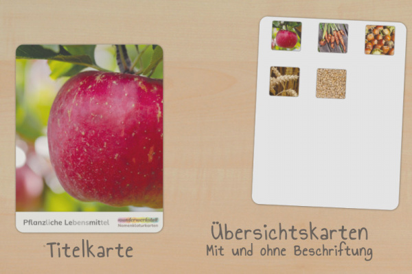 nomen_pflanz_titel_silb_2