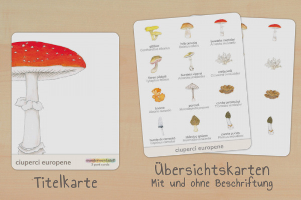 nomen_pilze_rumaenisch_titel_2