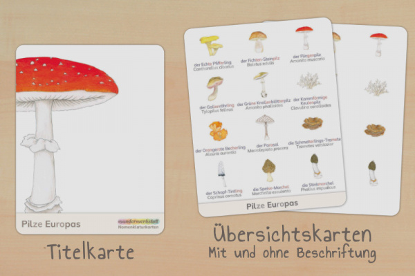 nomen_pilze_silben_titel_2