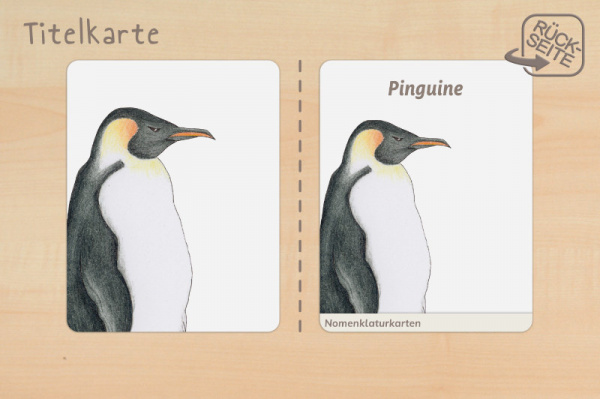 nomen_pinguine_druck_c