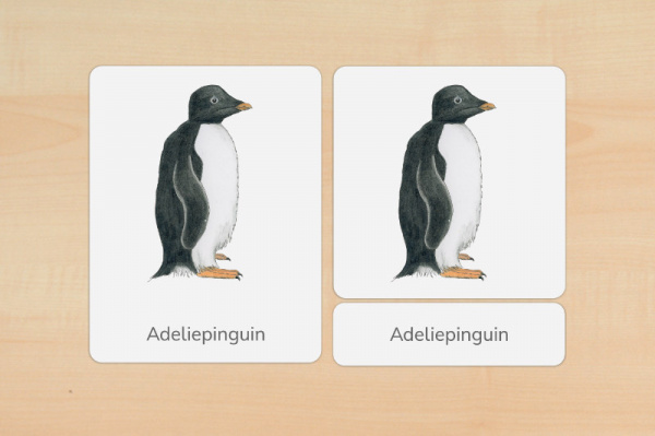 nomen_pinguine_druck_e