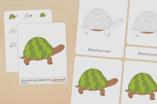 (Deutsch - Silbenschrift - Download)