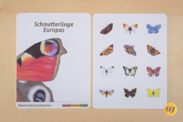 nomen_schmetter_druck