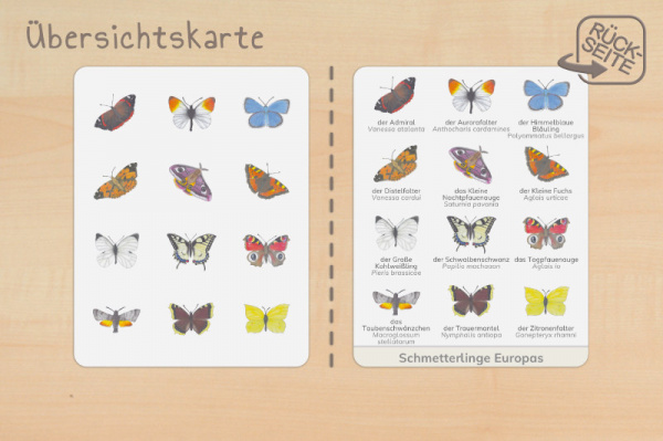 nomen_schmetter_druck_b