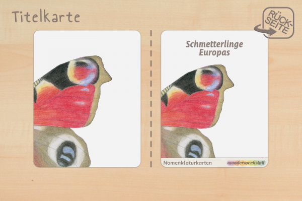 nomen_schmetter_druck_c