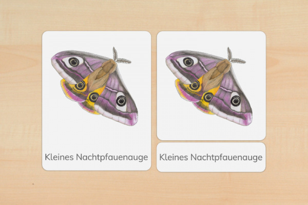 nomen_schmetter_druck_e