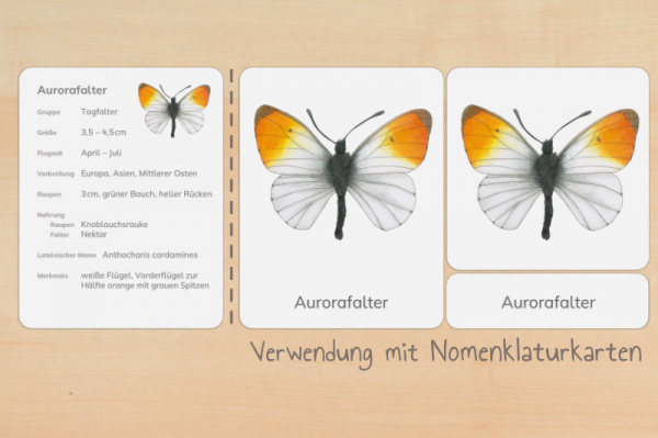 Steckbriefe 2-fach differenziert