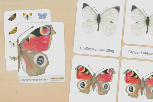 Download-Paket: Heimische Schmetterlinge