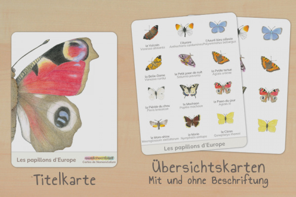 nomen_schmetterlinge_franz_titel_2