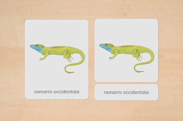 nomen_tiere_europa_italienisch_1