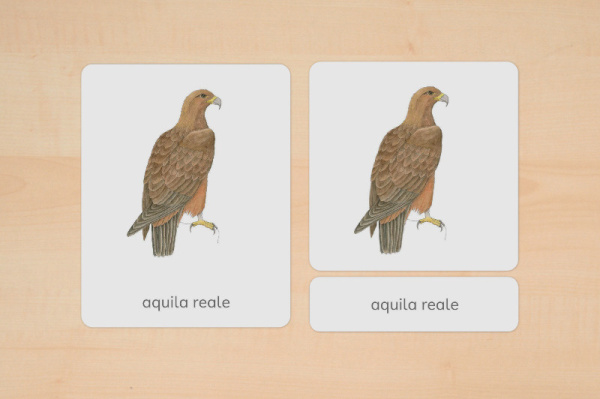nomen_tiere_europa_italienisch_2