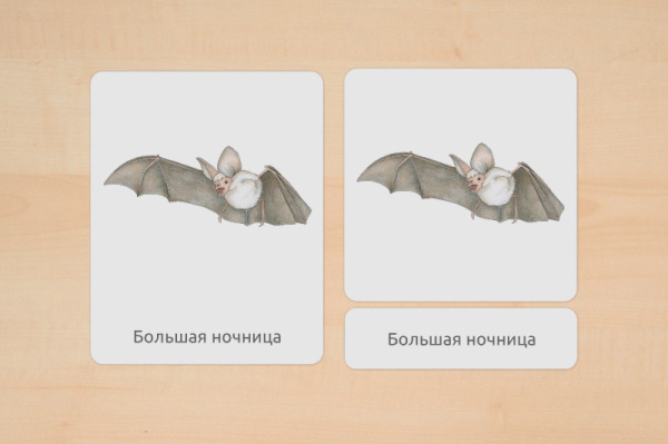 nomen_tiere_europa_russisch_2