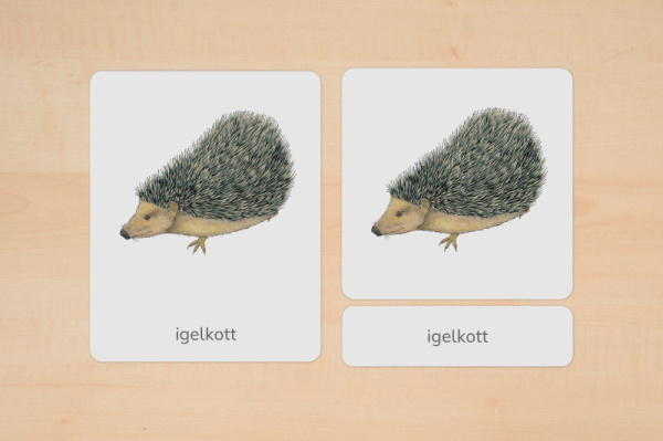 nomen_tiere_europa_schwedisch__1