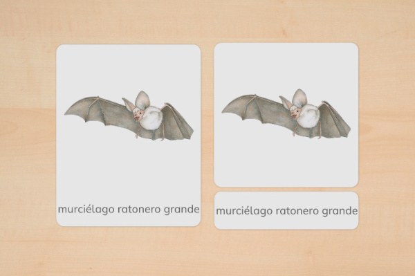 nomen_tiere_europa_spanisch__2