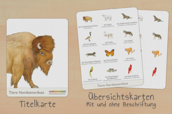 nomen_tiere_na_down_titel_2