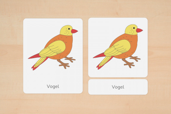 nomen_vogel_down_1