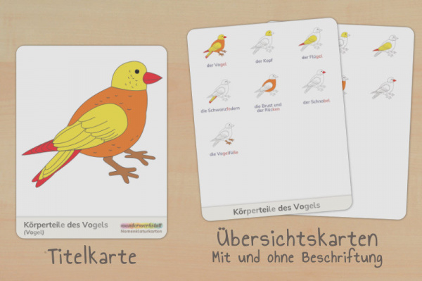 nomen_vogel_silben_titel_2