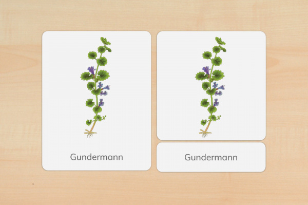 nomen_wild_druck_f