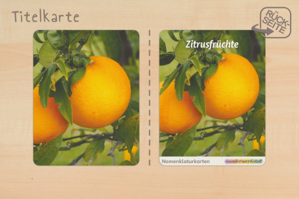 (Deutsch - Profidruck)
