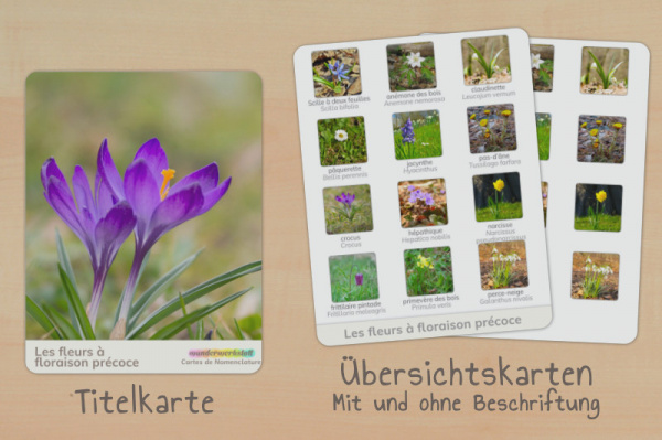 nomenklatur_fruebblueher_foto_franzoesisch_titel_2