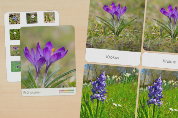 (Deutsch - Druckschrift - Download)