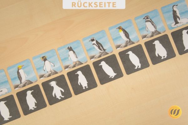 Schnupperkiste Kindergartenkinder