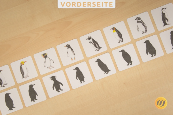 Schnupperkiste Kindergartenkinder