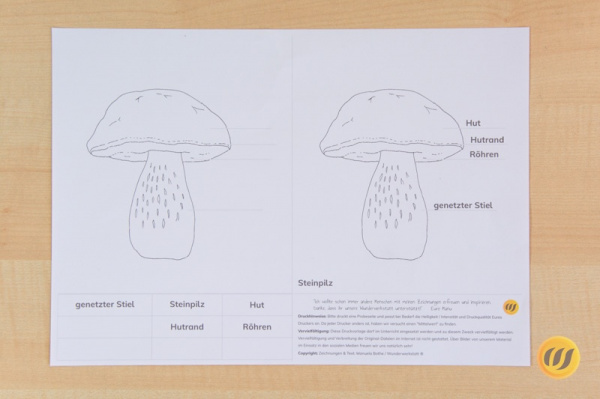 (Deutsch - Druckschrift - Profidruck)