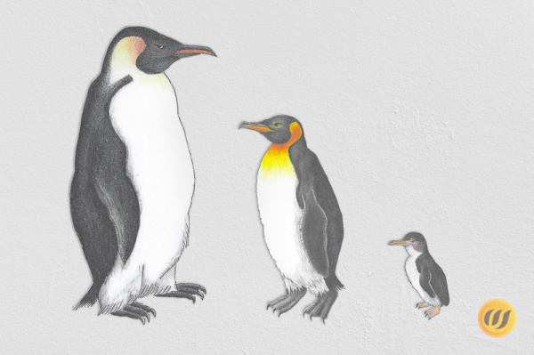 pinguine_an_der_wand