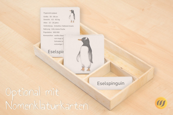 pinguine_mit_option