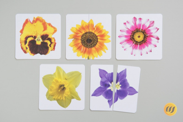 Mini-Puzzle Blumen (Download)