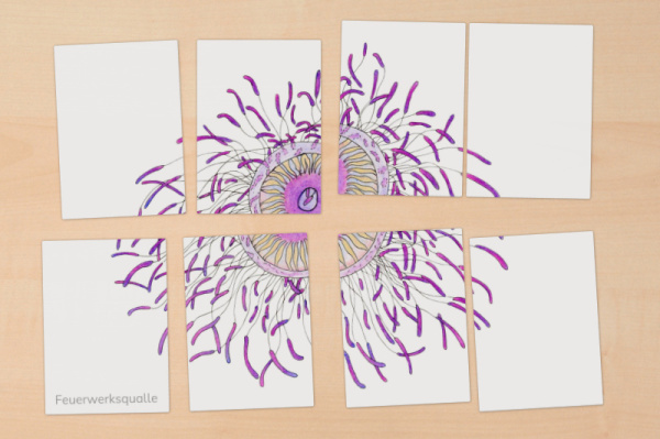 puzzle_quallen_3