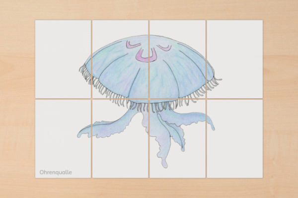 puzzle_quallen_4