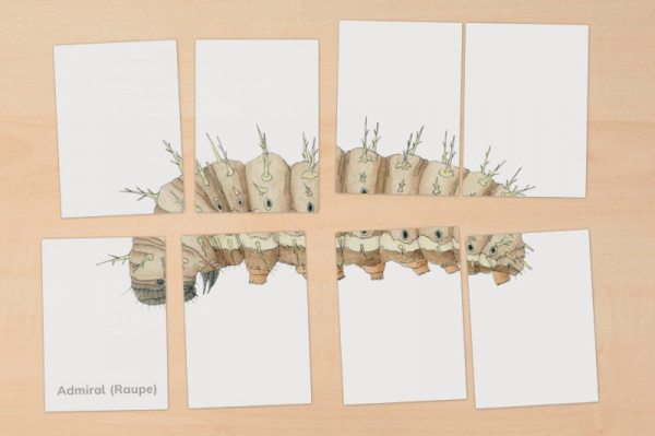 puzzle_raupe_schmetterling3