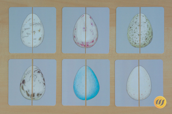 puzzle_voegel_druck5