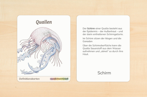 qualle_definition_print_2