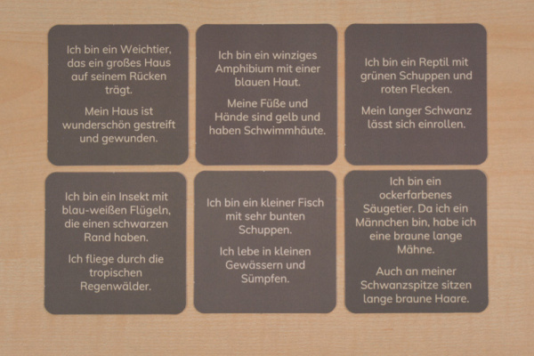 raetsel_afrika_2