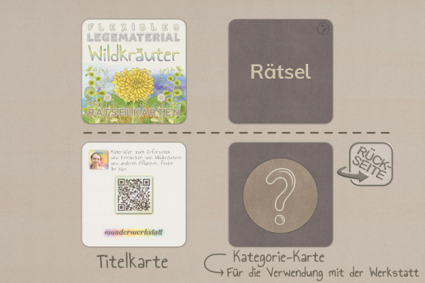 raetsel_wildkrauter__2