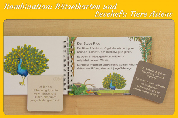 raetselkarten_asien_combo2