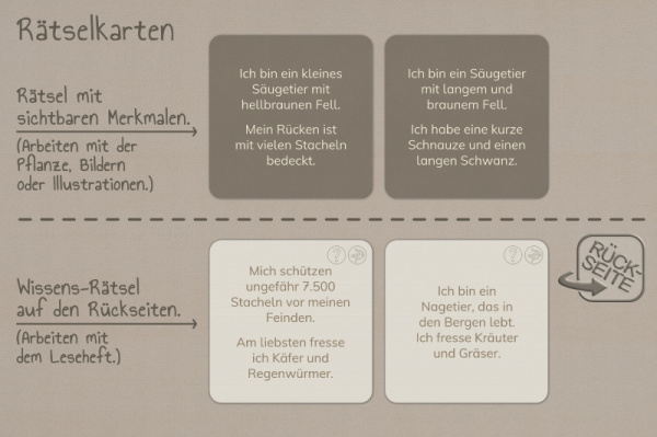 raetselkarten_europa_3
