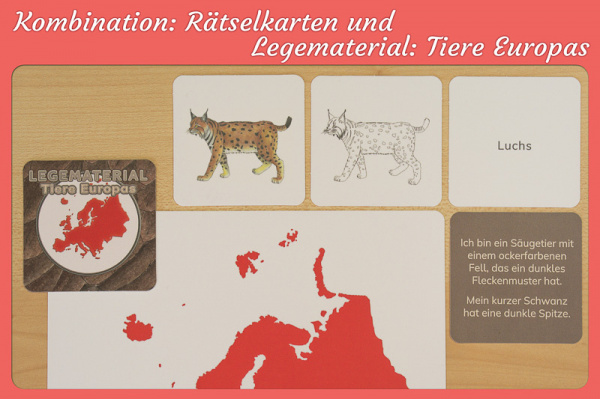 Rätselkarten - Tiere Europas