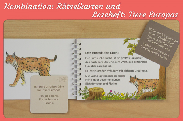raetselkarten_europa_combo2