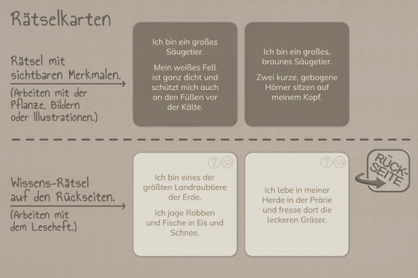 raetselkarten_nordamerika_3