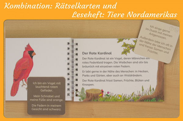 Rätselkarten - Tiere Nordamerikas