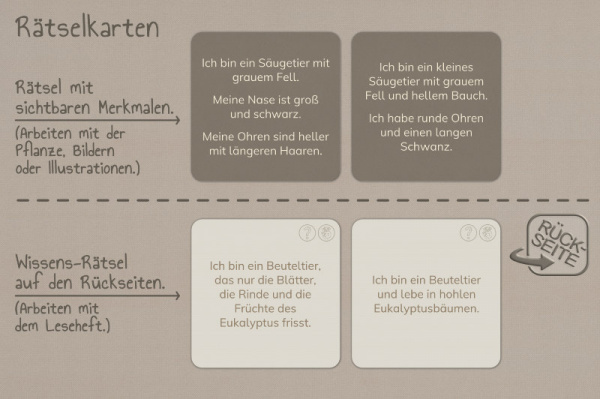 raetselkarten_ozeanien_3