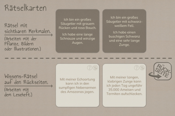 raetselkarten_suedamerika_3