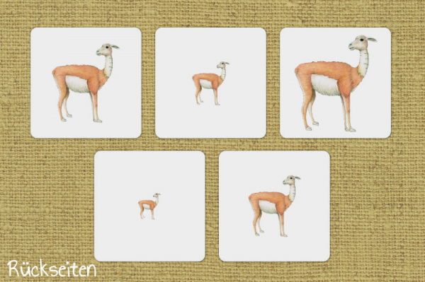 sa_groessen_3