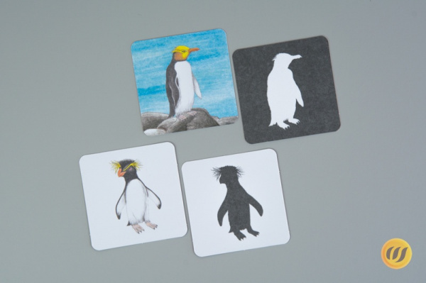 schatten_pingu4