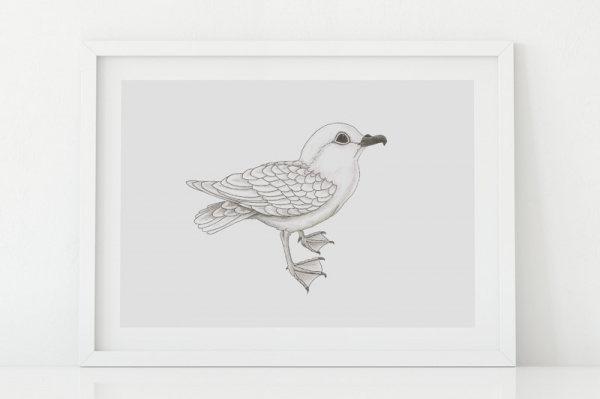 Schneesturmvogel A5