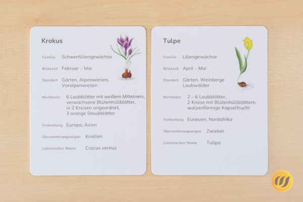 steck_fruehblueher_druck4